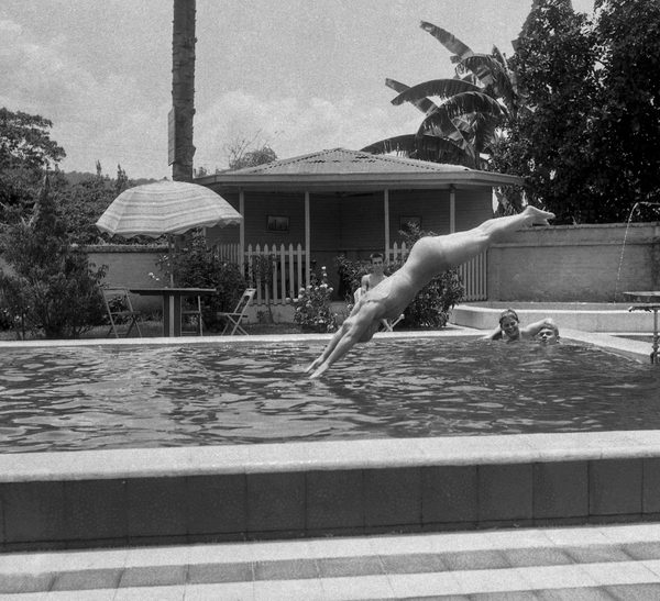 The Dive