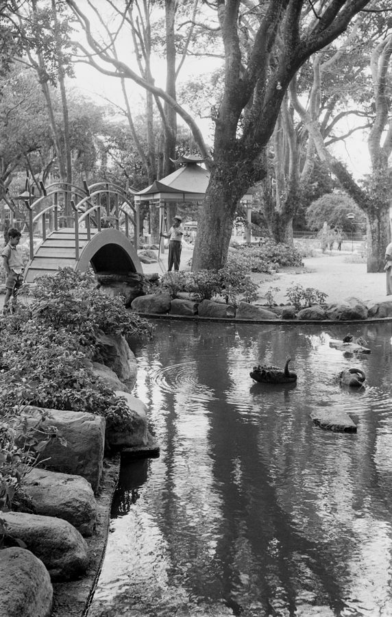 Japanese Garden
