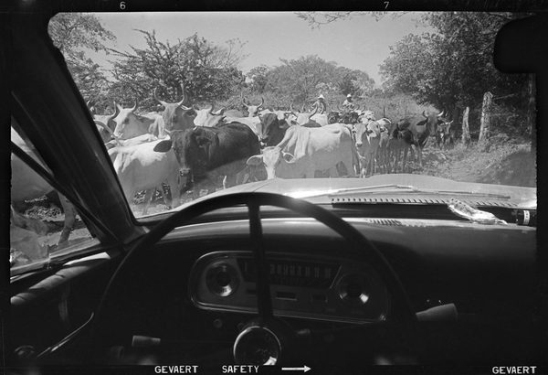 Encounter on the Road