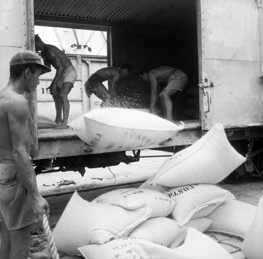 Loading Coffee, I