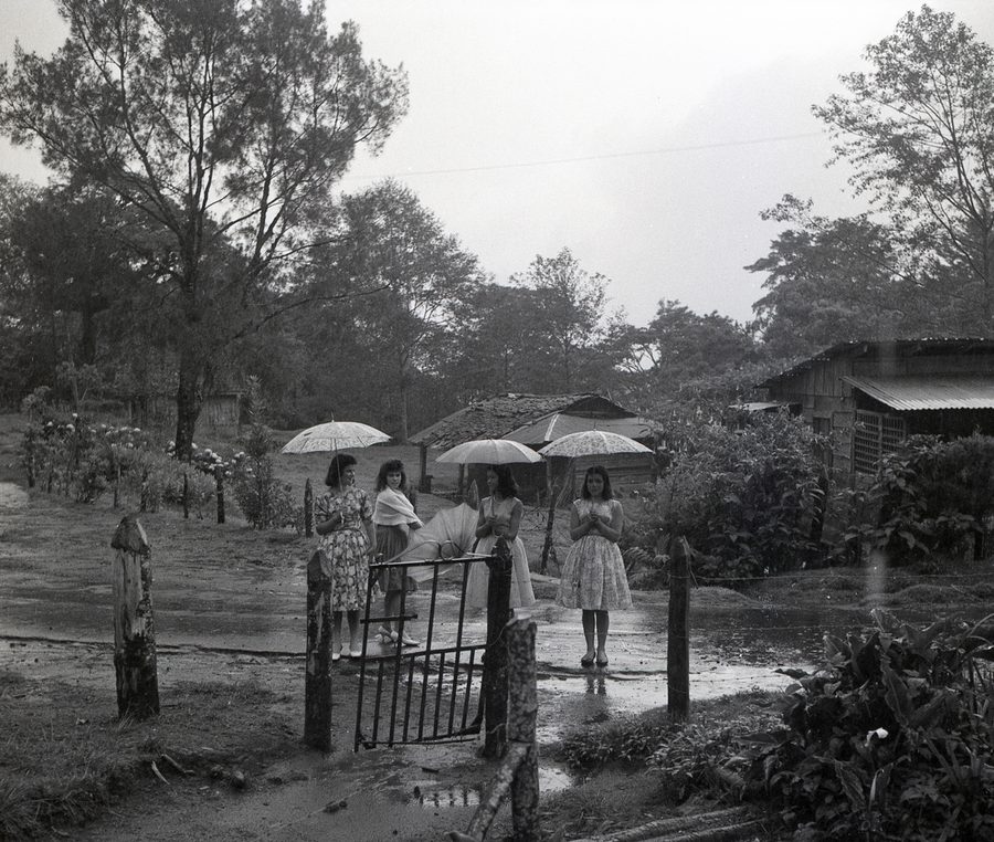 Women in the Rain